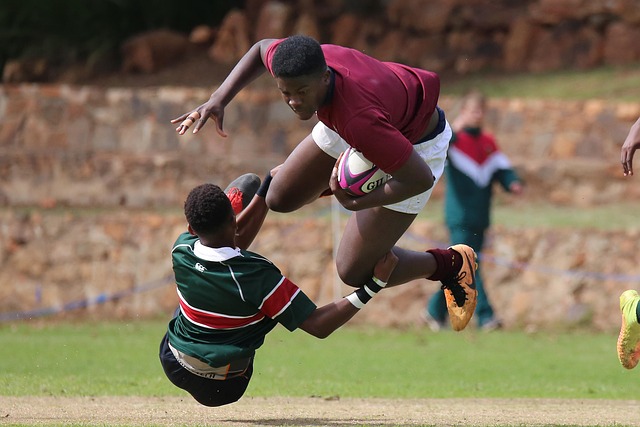 社会影响 社会影响