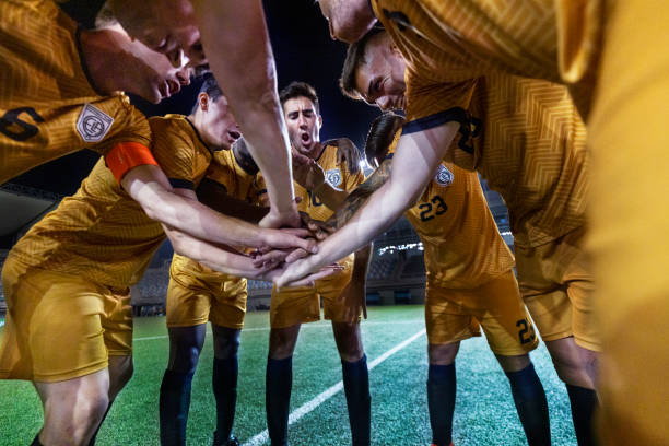 理念曾打开 理念曾打开